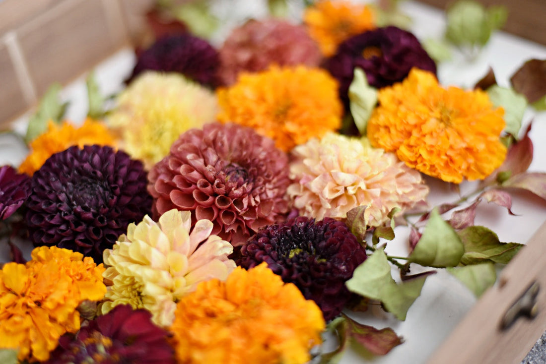 Pressed Frame or Shadow Box? How to Choose the Right Bridal Bouquet Preservation Style