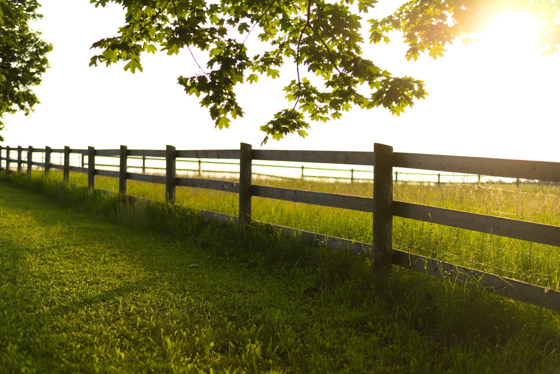 Nature Brings Me So Much Peace