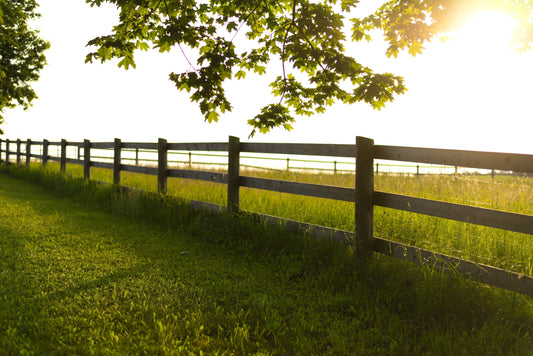 Nature Brings Me So Much Peace