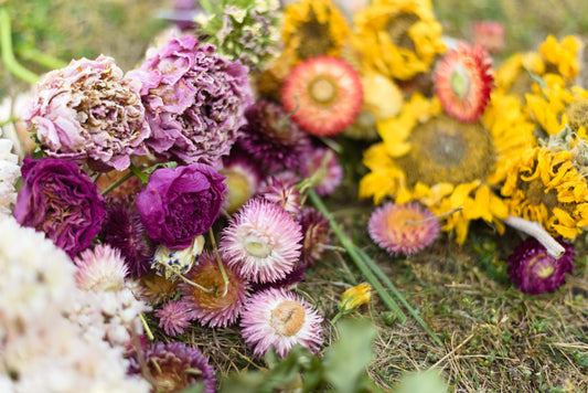 Wholesale Dried Flowers Across Canada for Florists and Small Businesses