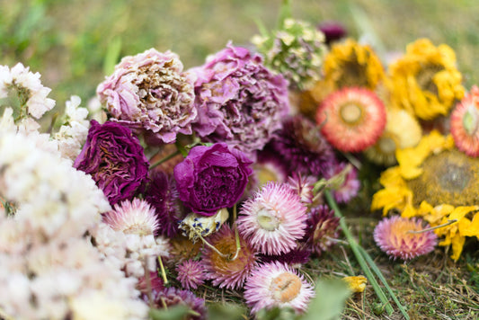 DIY Dried Wedding Bouquets: A Guide for Ontario Brides
