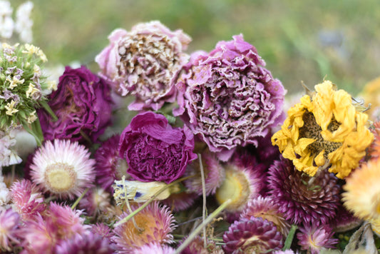 Best Etsy Stores for Dried Flowers in Canada