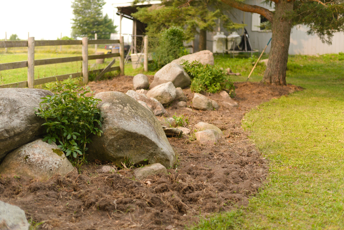 July Pollinator Garden Update