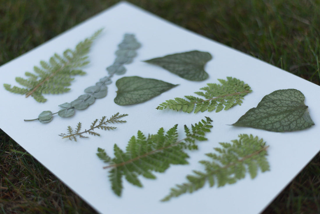 How to Make Pressed Flower Resin Crafts