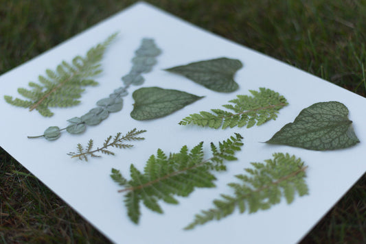 How to Make Pressed Flower Resin Crafts