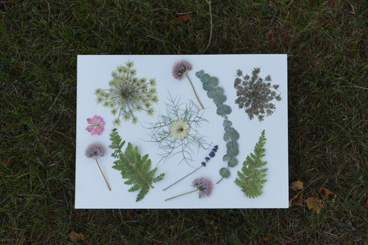 How to Make Your Own Pressed Flower Bookmarks (Step-by-Step Guide for Crafters)