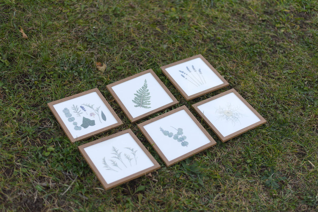 Where to Buy Pressed Flower Gifts in Toronto