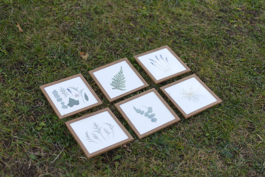 Where to Buy Pressed Flower Gifts in Toronto