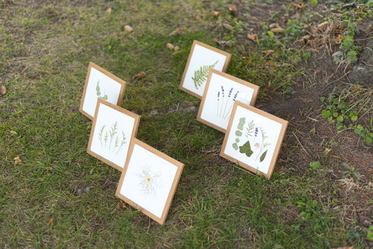 Pressed Flower Wall Art in Toronto: Best Places to Buy for Your Home