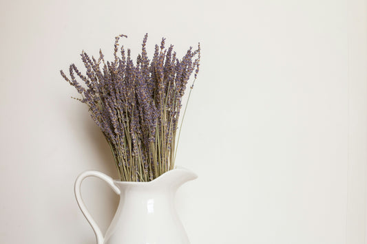 Where to Buy Wholesale & Bulk Dried Lavender in Toronto