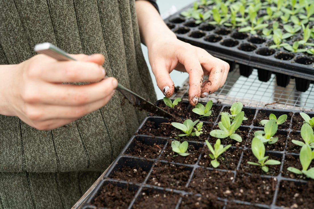 The 2026 Growing Season Has Officially Begun