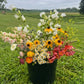DIY Fresh Flower Bucket - 100 Stems