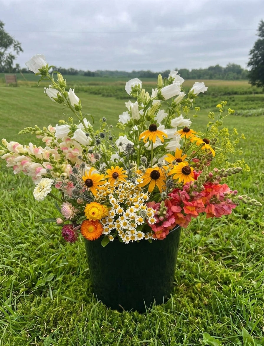 DIY Fresh Flower Bucket - 100 Stems