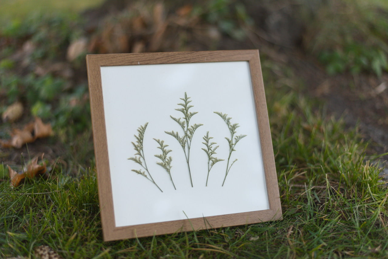 Caspia Pressed Flower Art (8"x8" Framed Original)