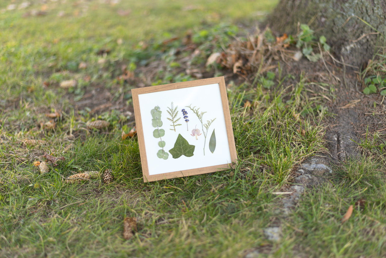 Greenery & Lavender Pressed Flower Art (8"x8" Framed Original)