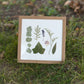 Greenery & Lavender Pressed Flower Art (8"x8" Framed Original)