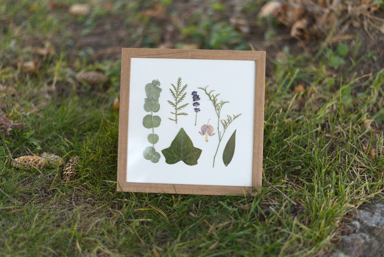 Greenery & Lavender Pressed Flower Art (8"x8" Framed Original)