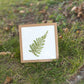 Fern Pressed Flower Art (8"x8" Framed Original)