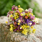 A small bouquet of dried flowers in yellow, purple, pink, and white resting on a rough stone outdoors with a blurred green background.