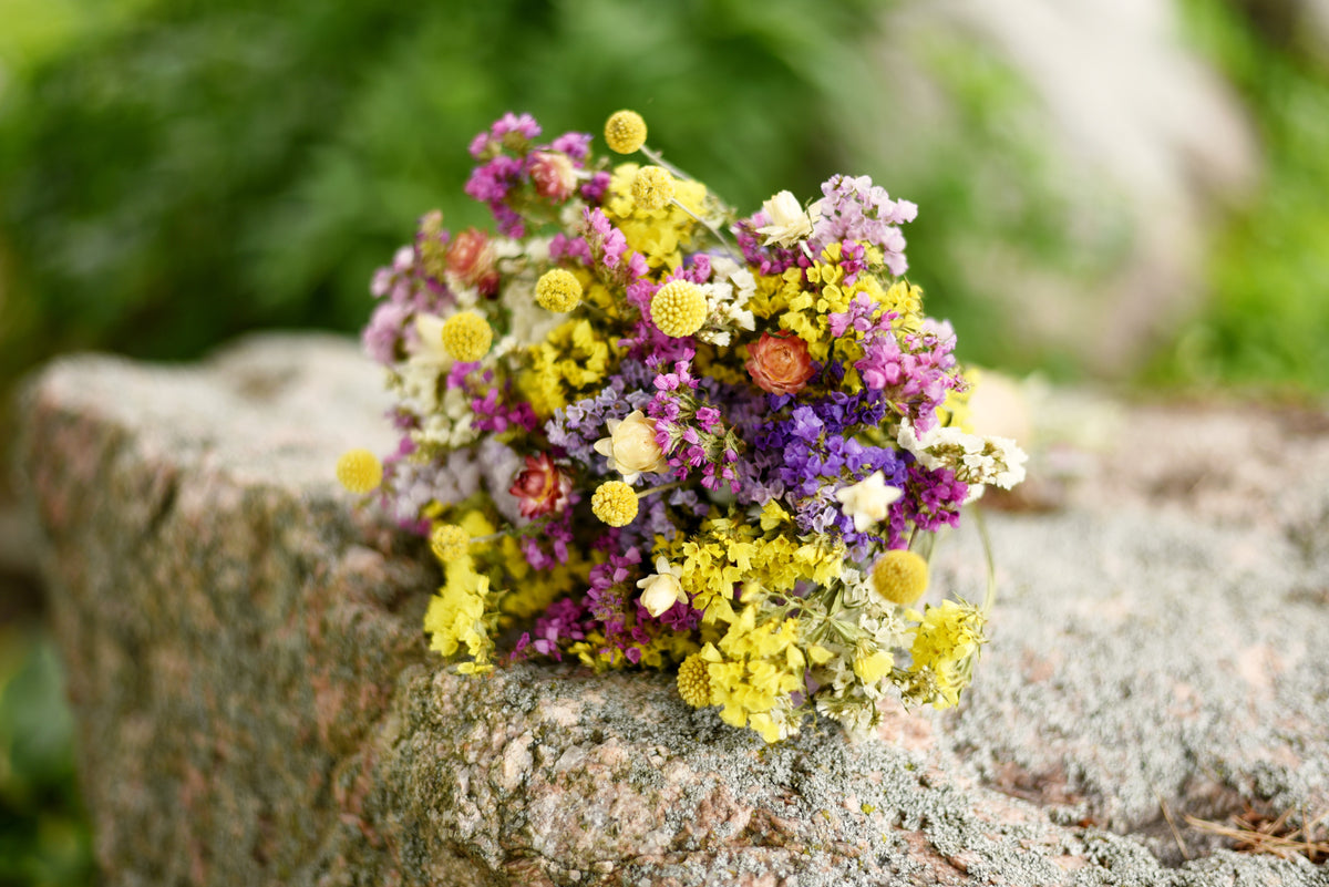 A small bouquet of dried flowers in yellow, purple, pink, and white resting on a rough stone outdoors with a blurred green background.