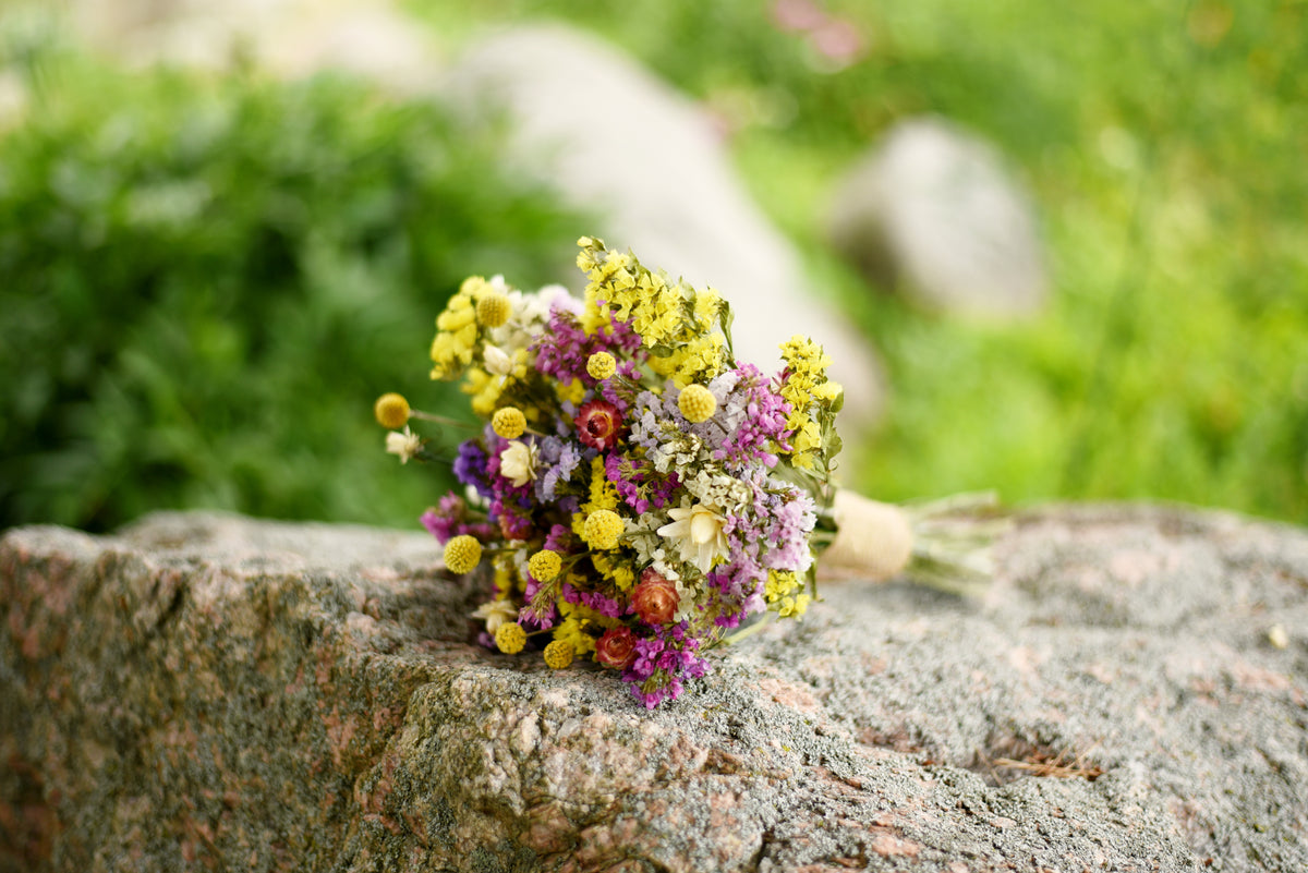 A small bouquet of dried multicolor flowers, including yellow, purple, white, and orange blossoms, resting on a textured gray stone with a blurred green garden background.