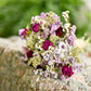 Lavender & White Rose Dried Wedding Bouquet