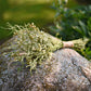 Delicate White Wildflower Dried Wedding Bouquet