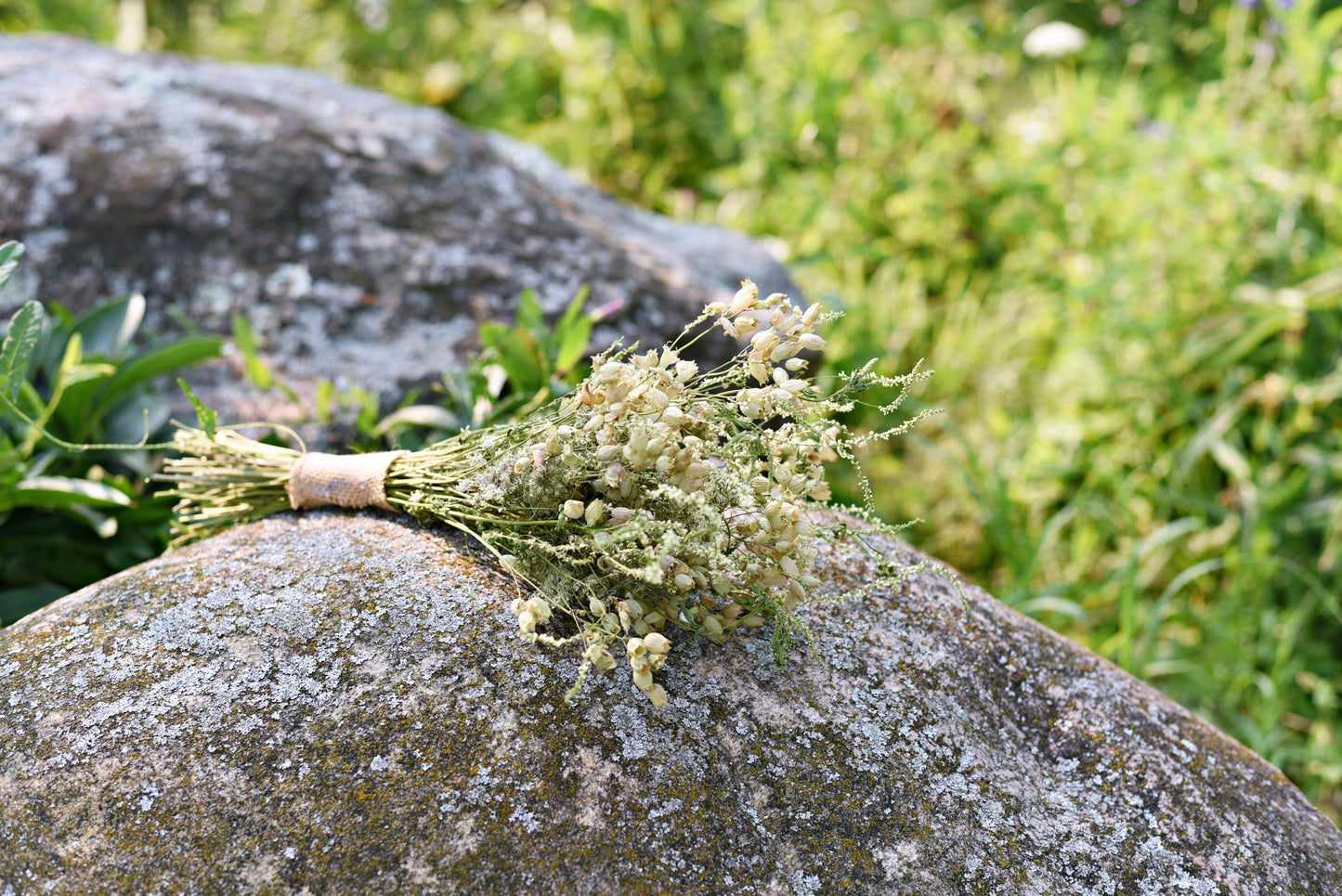 Delicate White Wildflower Dried Wedding Bouquet