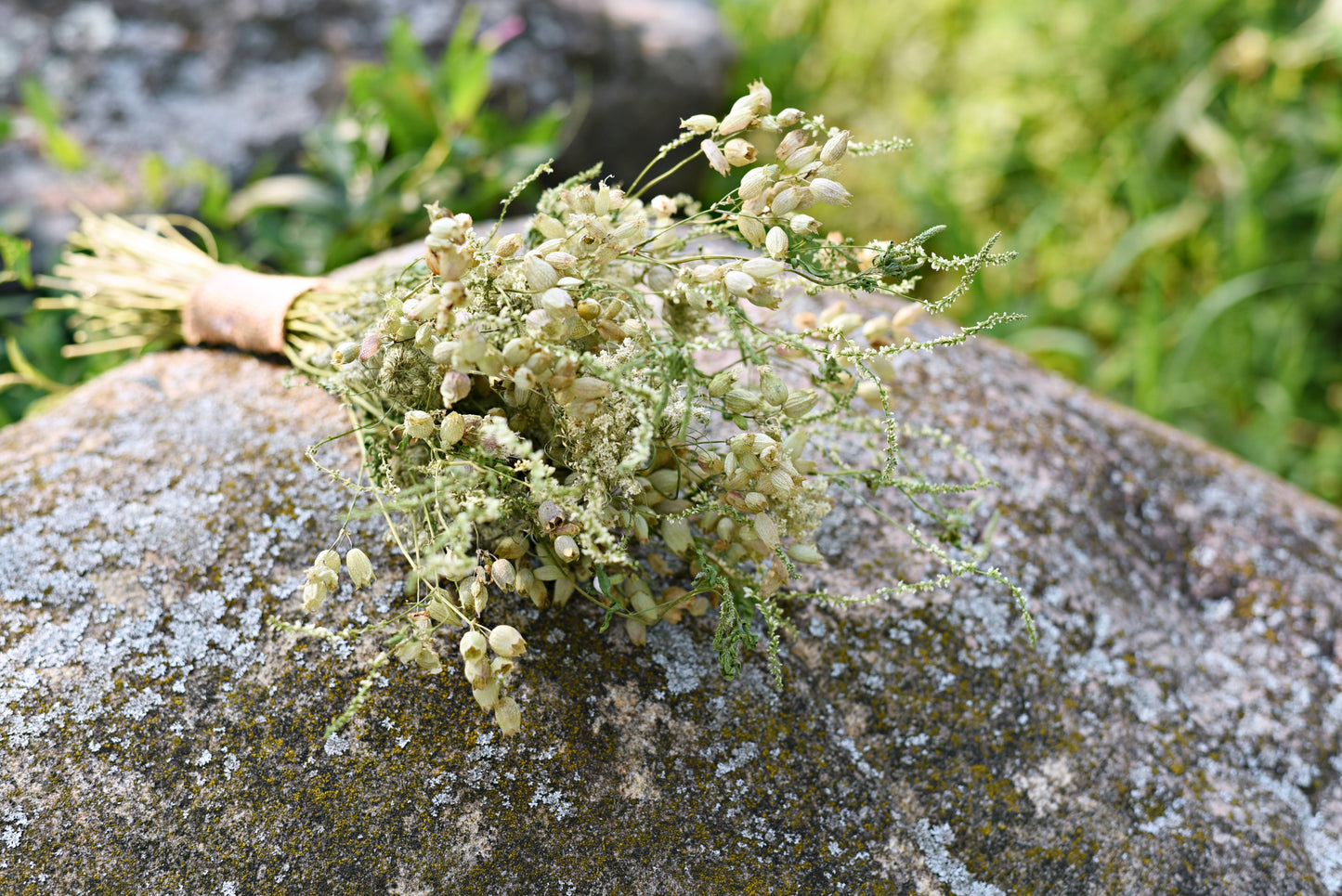 Delicate White Wildflower Dried Wedding Bouquet