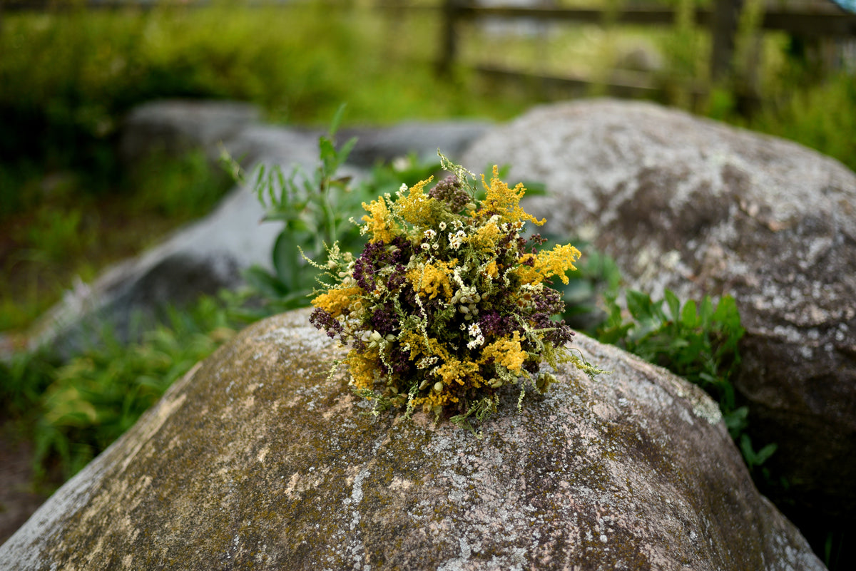 A small bouquet of yellow and white wildflowers nestled on the top of a large gray rock in an outdoor grassy setting.