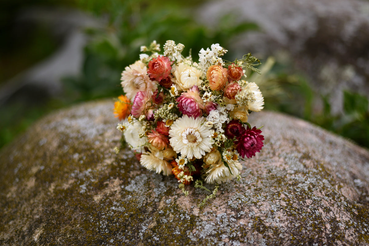 A small bouquet of dried flowers in cream, peach, pink, orange, and burgundy rests on a large mossy rock with a blurred natural background.