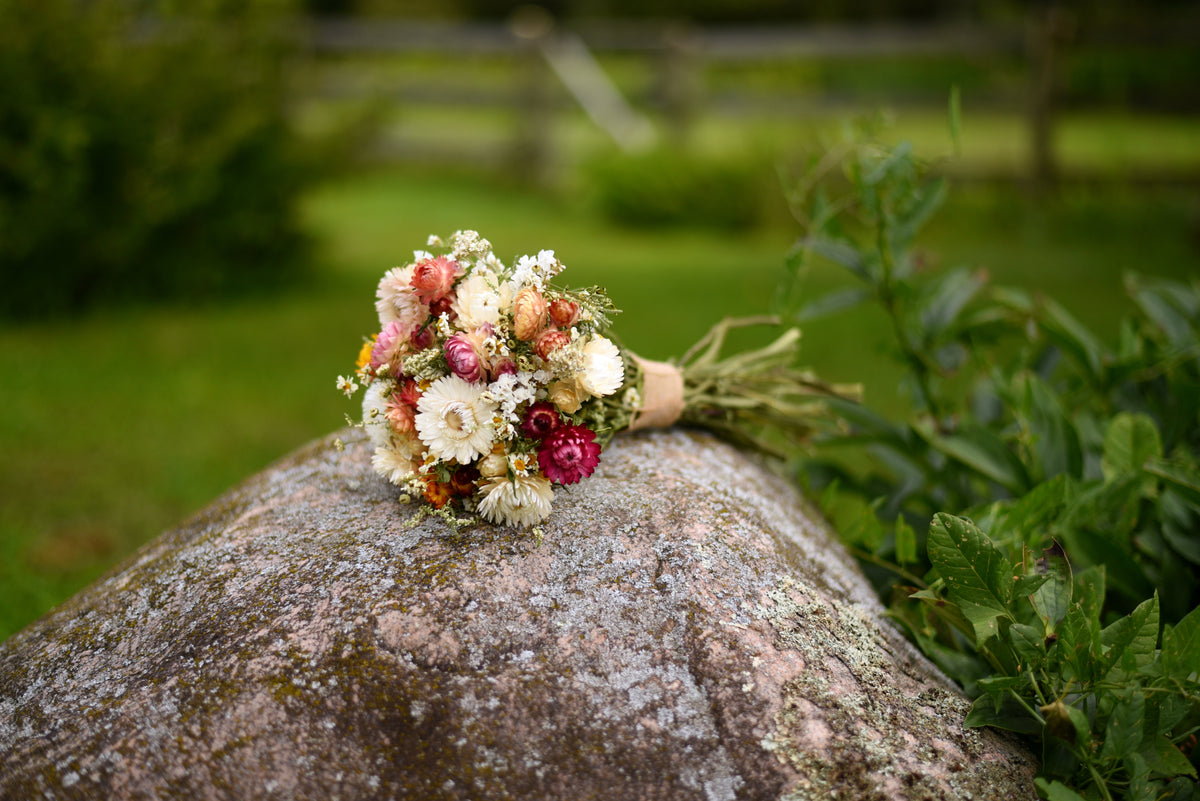 A small dried flower bouquet with cream, pink, and burgundy strawflowers resting on a large mossy rock in an outdoor garden setting.