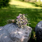 Spring Meadow Dried Wedding Bouquet