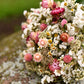 White & Blush Pink Dried Wedding Bouquet