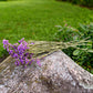 Statice Dried Flower Stems (Dark Purple)