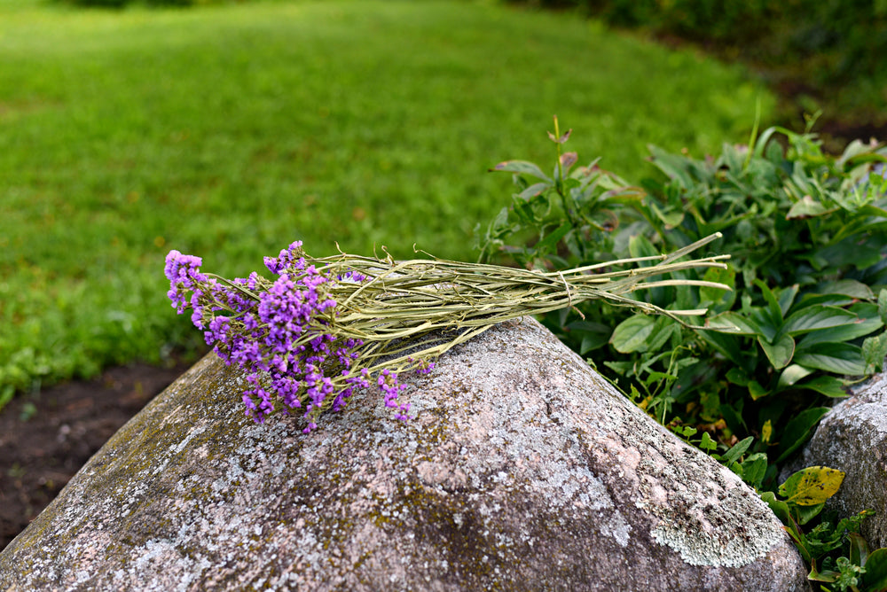 Statice Dried Flower Stems (Dark Purple)