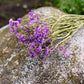 Statice Dried Flower Stems (Dark Purple)