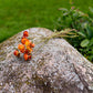 Strawflower Dried Flower Stems (Orange)