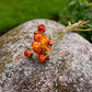 Strawflower Dried Flower Stems (Orange)