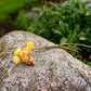 Strawflower Dried Flower Stems (Yellow)