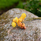 Strawflower Dried Flower Stems (Yellow)
