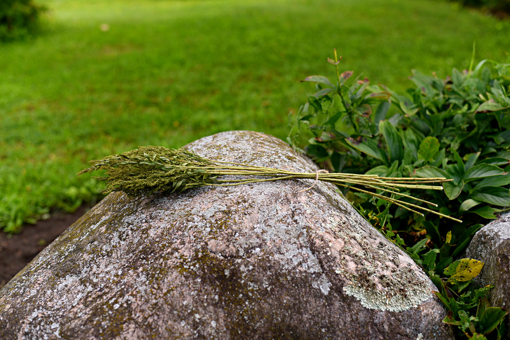 Greenery Dried Flower Stems