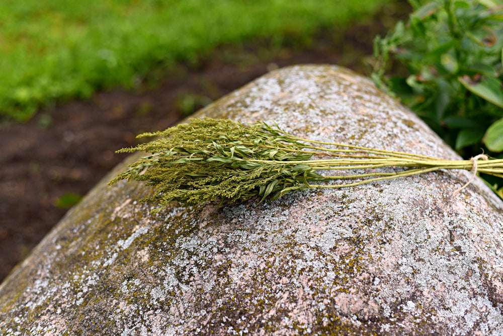 Dried Greenery Stem