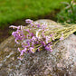 Statice Dried Flower Stems (Lavender)