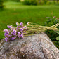 Statice Dried Flower Stems (Lavender)