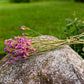 Statice Dried Flower Stems (Pink)