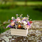 Dried Flower Mini Meadow Box