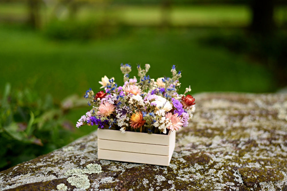 Dried Flower Mini Meadow Box