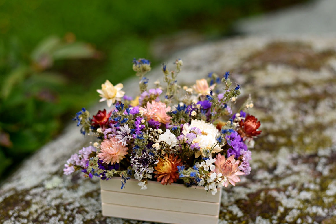 Dried Flower Mini Meadow Box