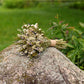Dried Wildflower Wedding Bouquet